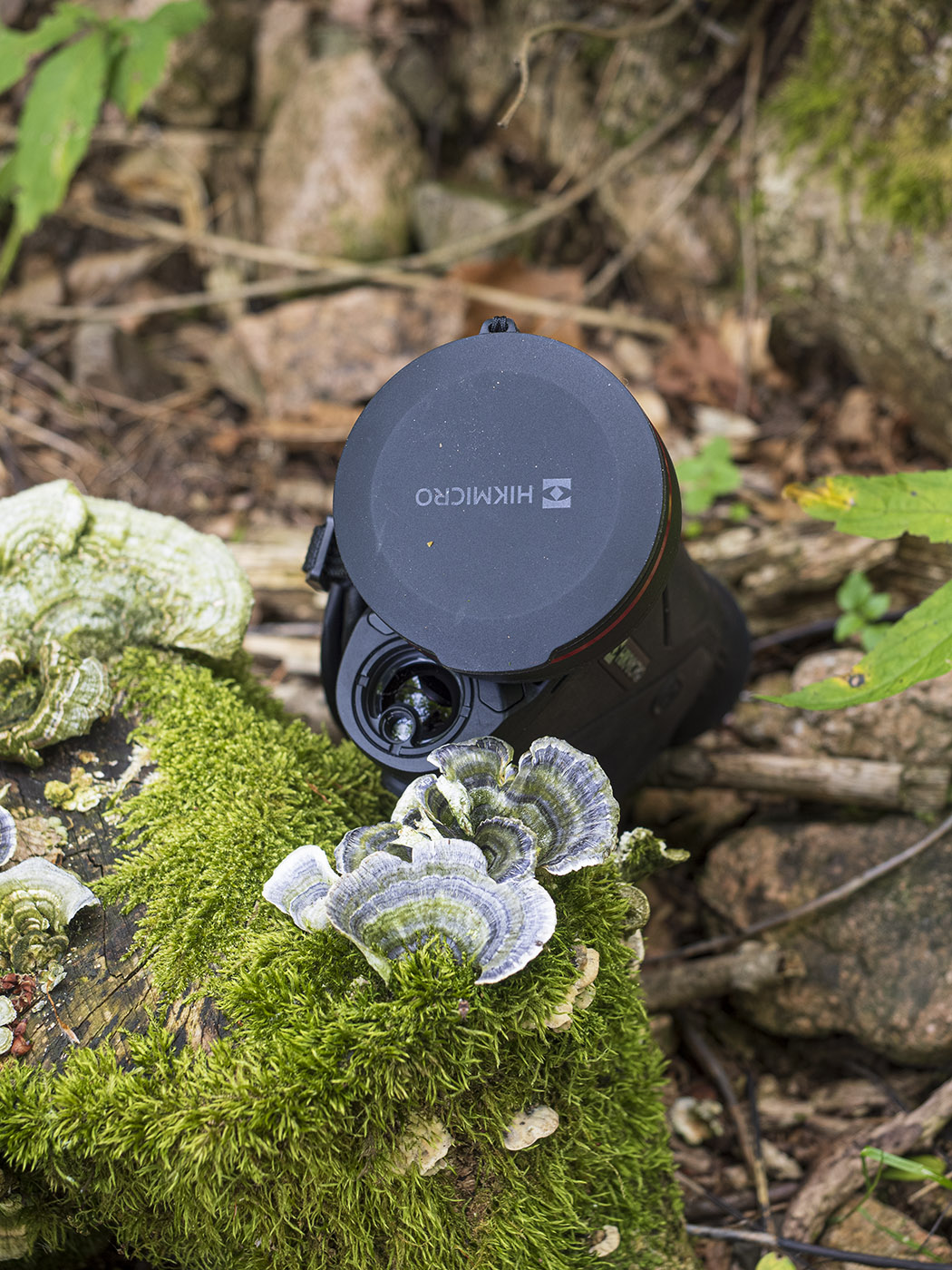 Test sul campo del monocolo termico Hikmicro Condor CQ50L 2.0 a cura di Piergiovanni Salimbeni